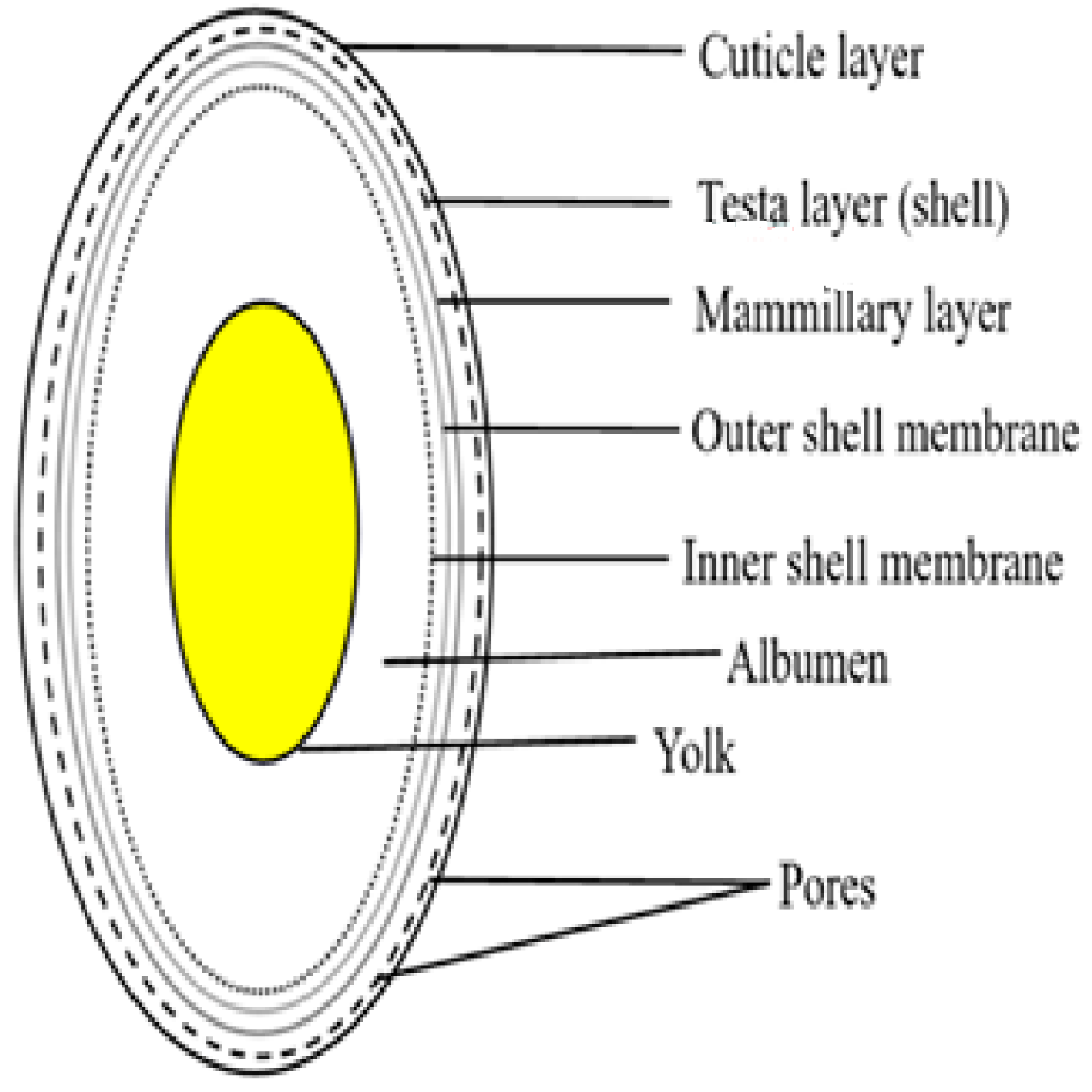Jcs 08 00414 g002 Jcs 08 00414 g002
