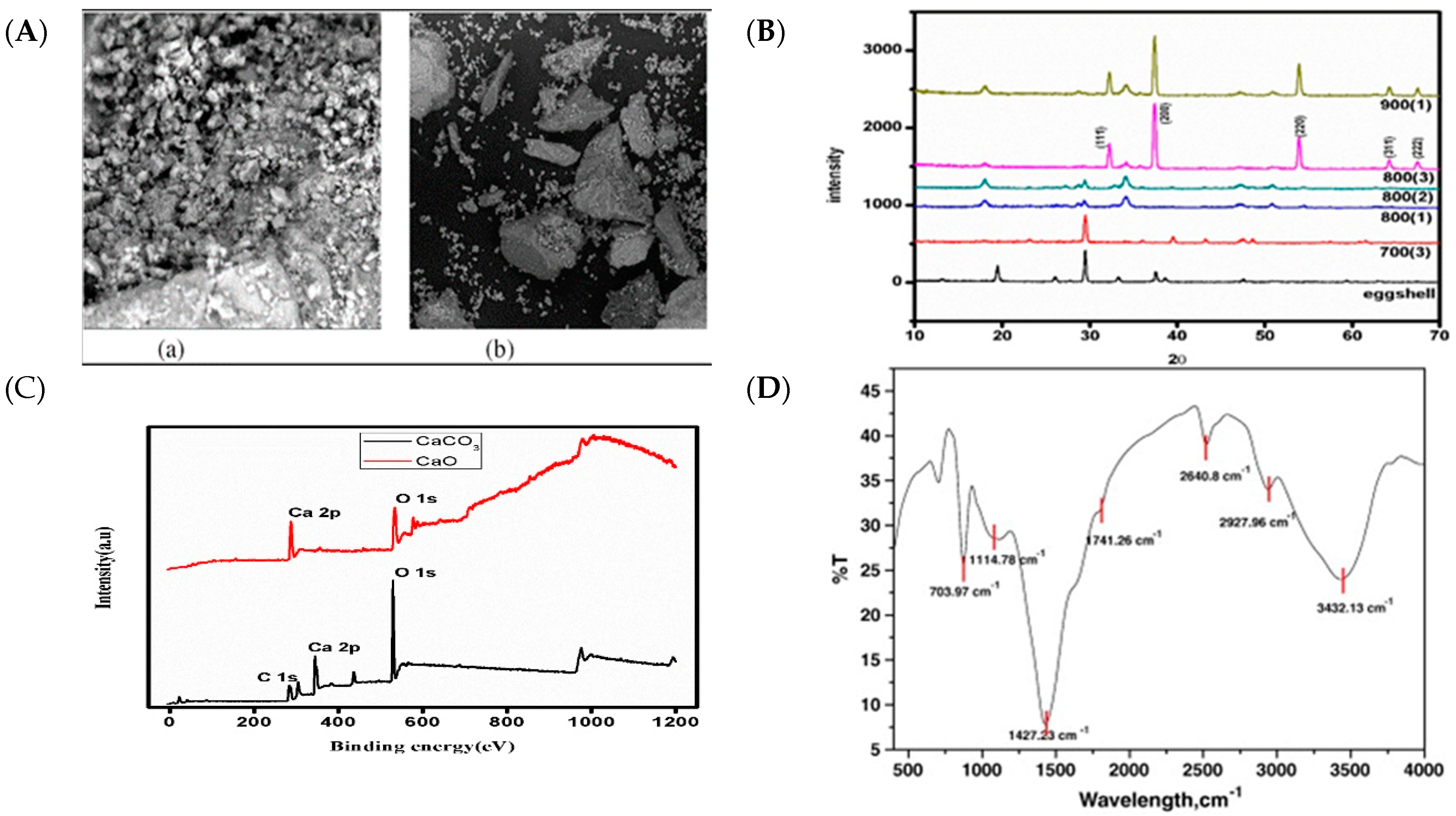 Jcs 08 00414 g005 Jcs 08 00414 g005