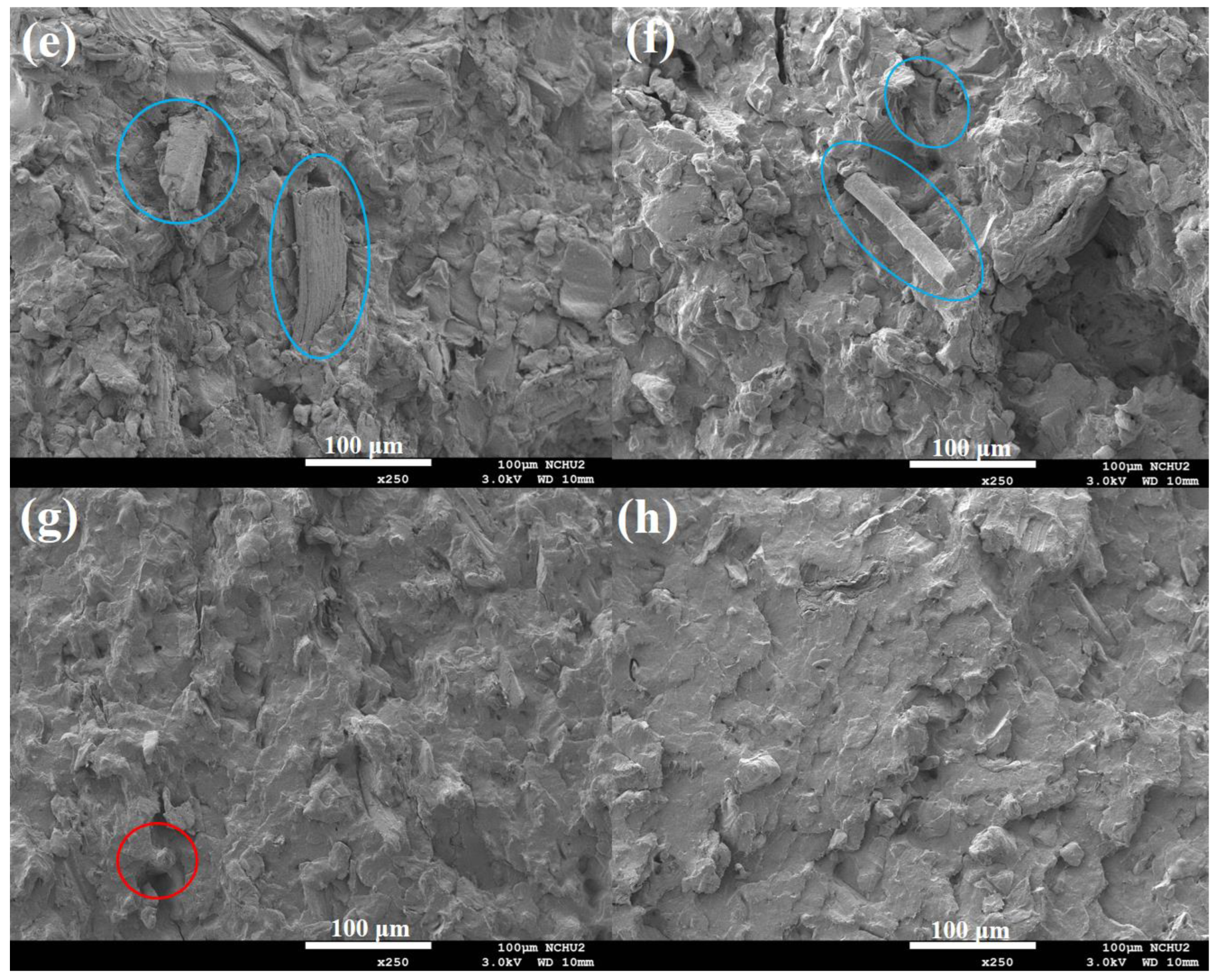 Jcs 08 00422 g011b Jcs 08 00422 g011b