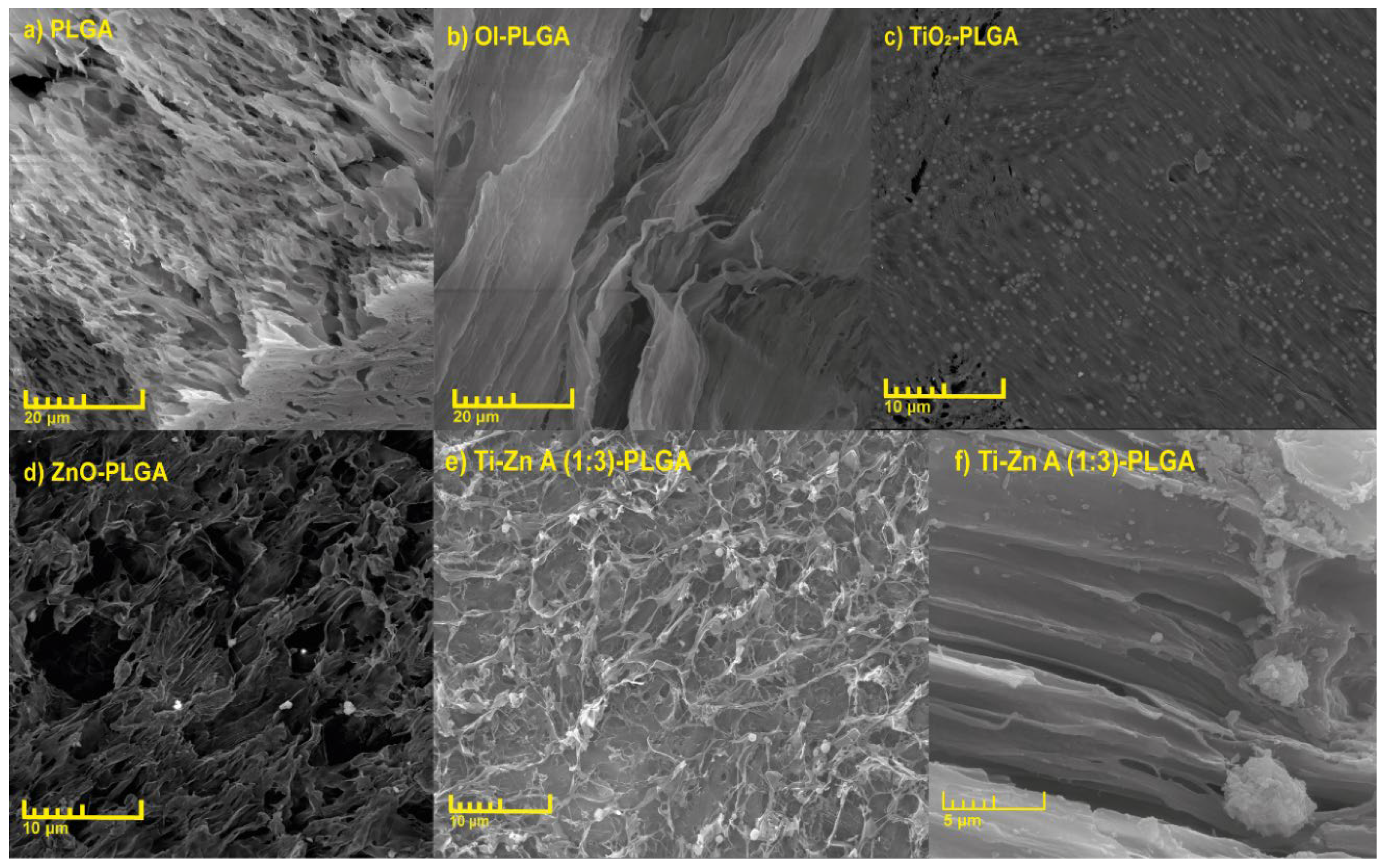 Jcs 08 00431 g002 Jcs 08 00431 g002