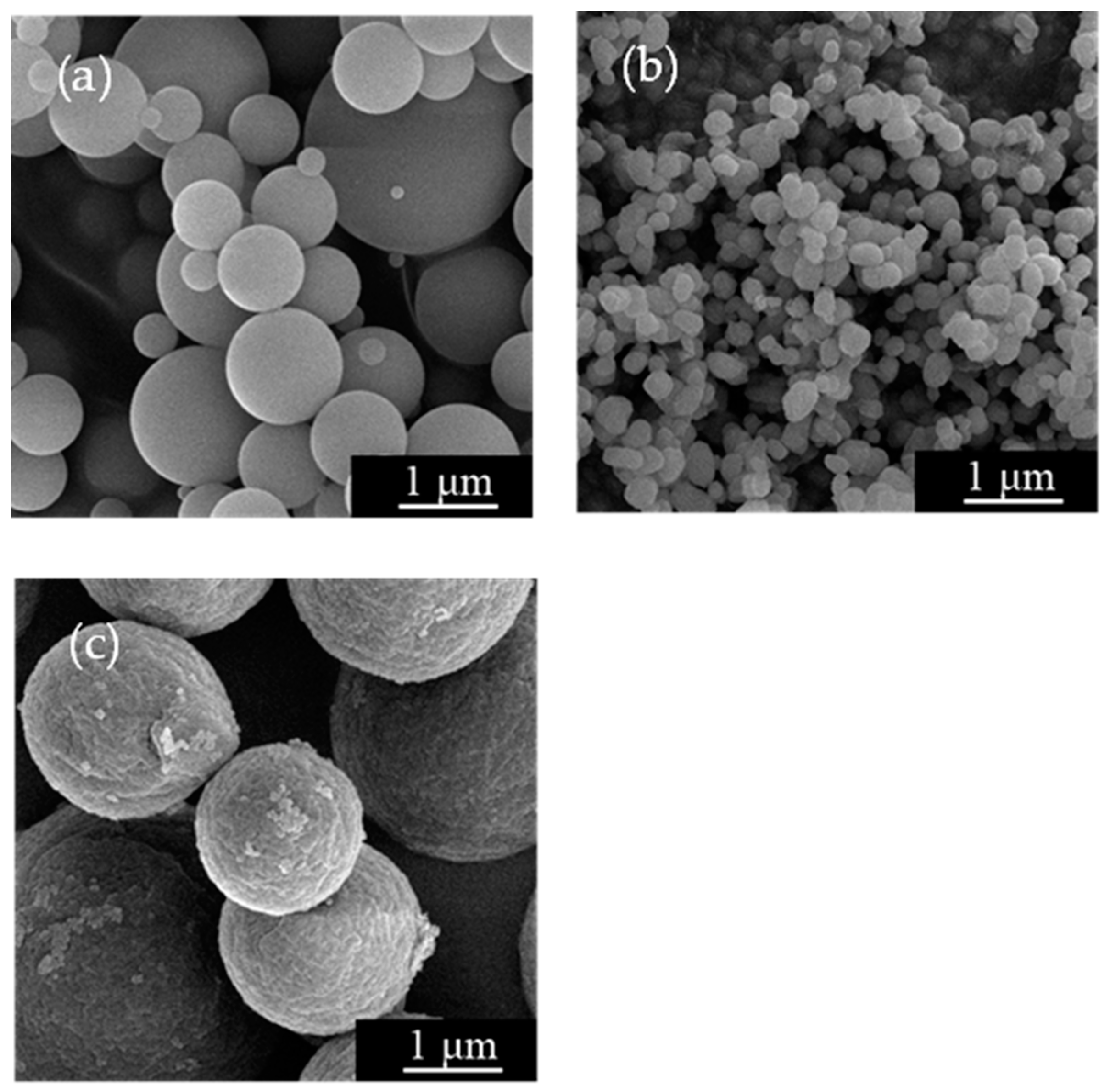 Jcs 08 00453 g002 Jcs 08 00453 g002