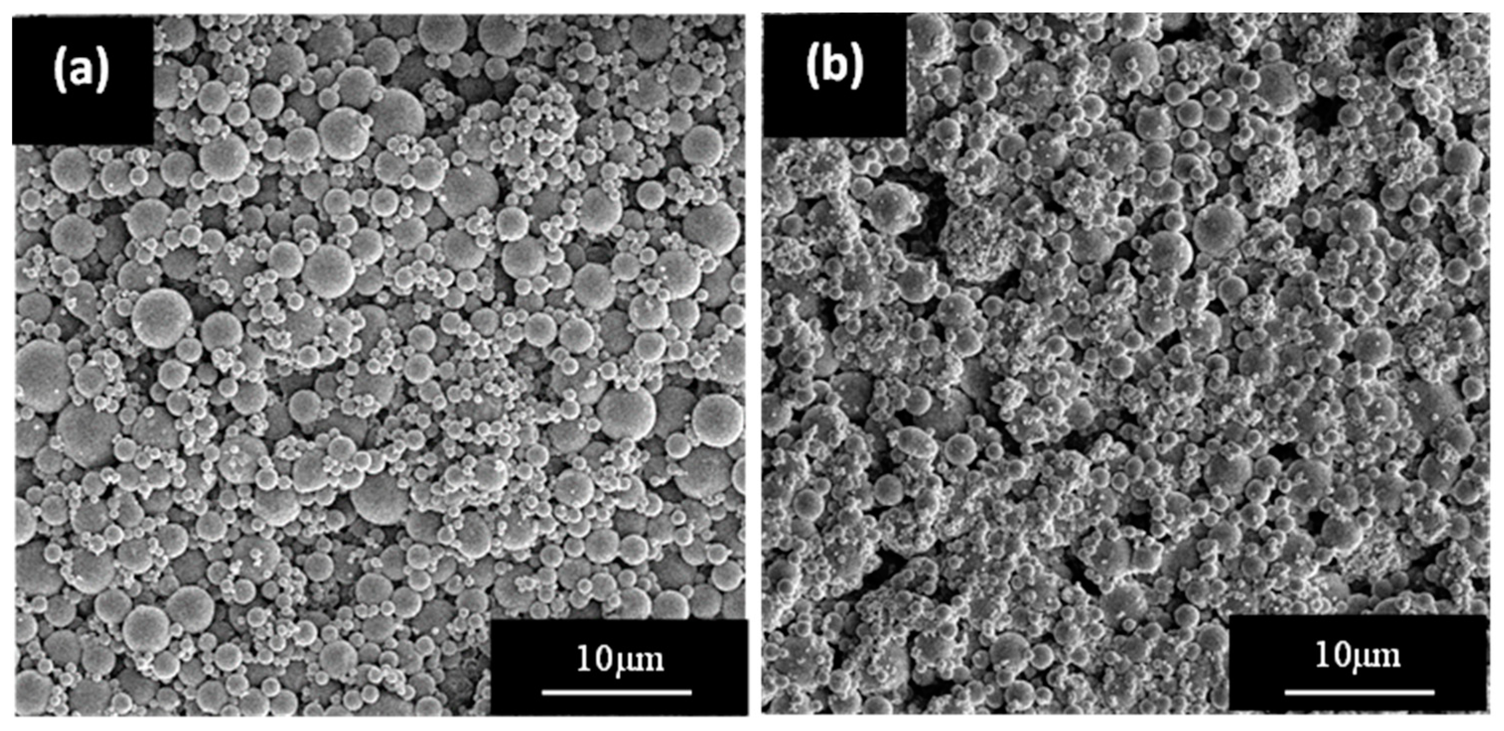 Jcs 08 00453 g004 Jcs 08 00453 g004