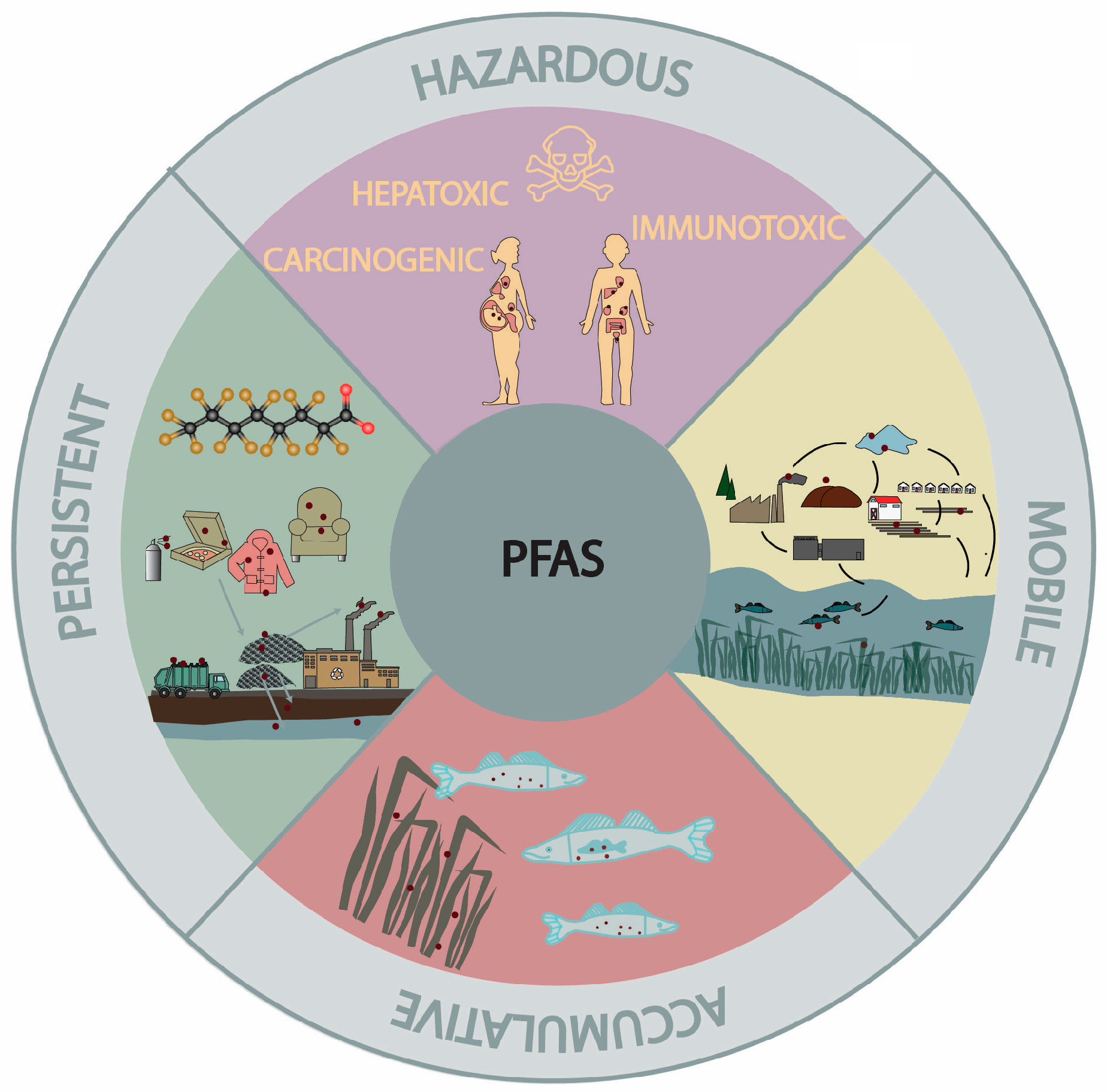 Jcs 09 00081 g001 Jcs 09 00081 g001