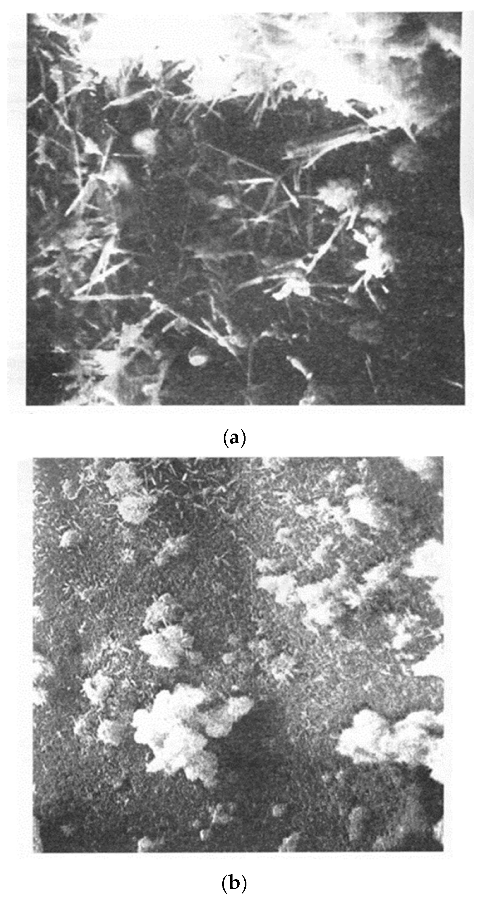 Jcs 09 00436 g004 Jcs 09 00436 g004