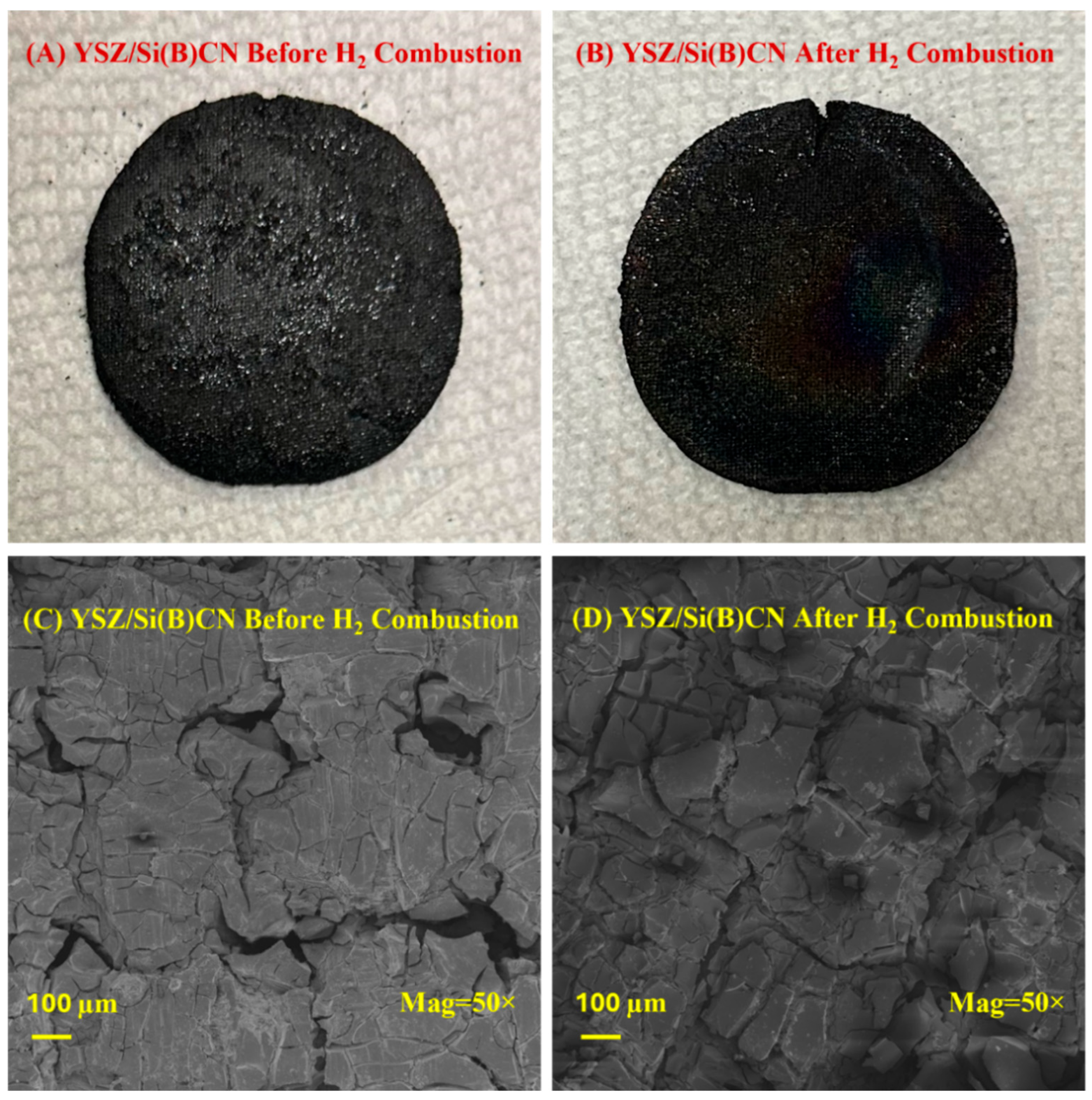Jcs 09 00537 g007 Jcs 09 00537 g007