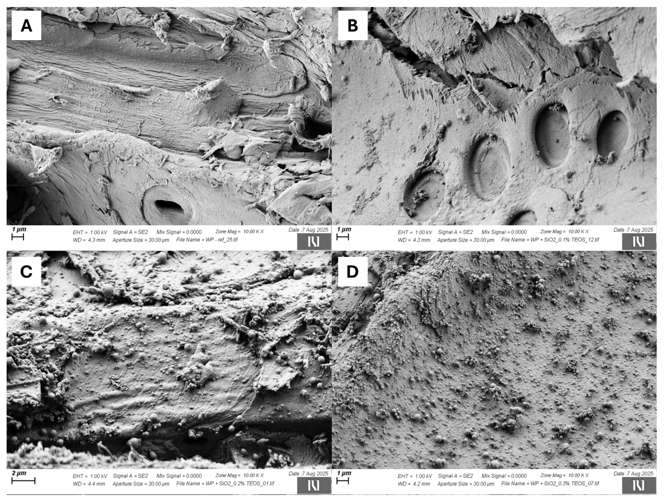 Jcs 09 00556 g002 Jcs 09 00556 g002