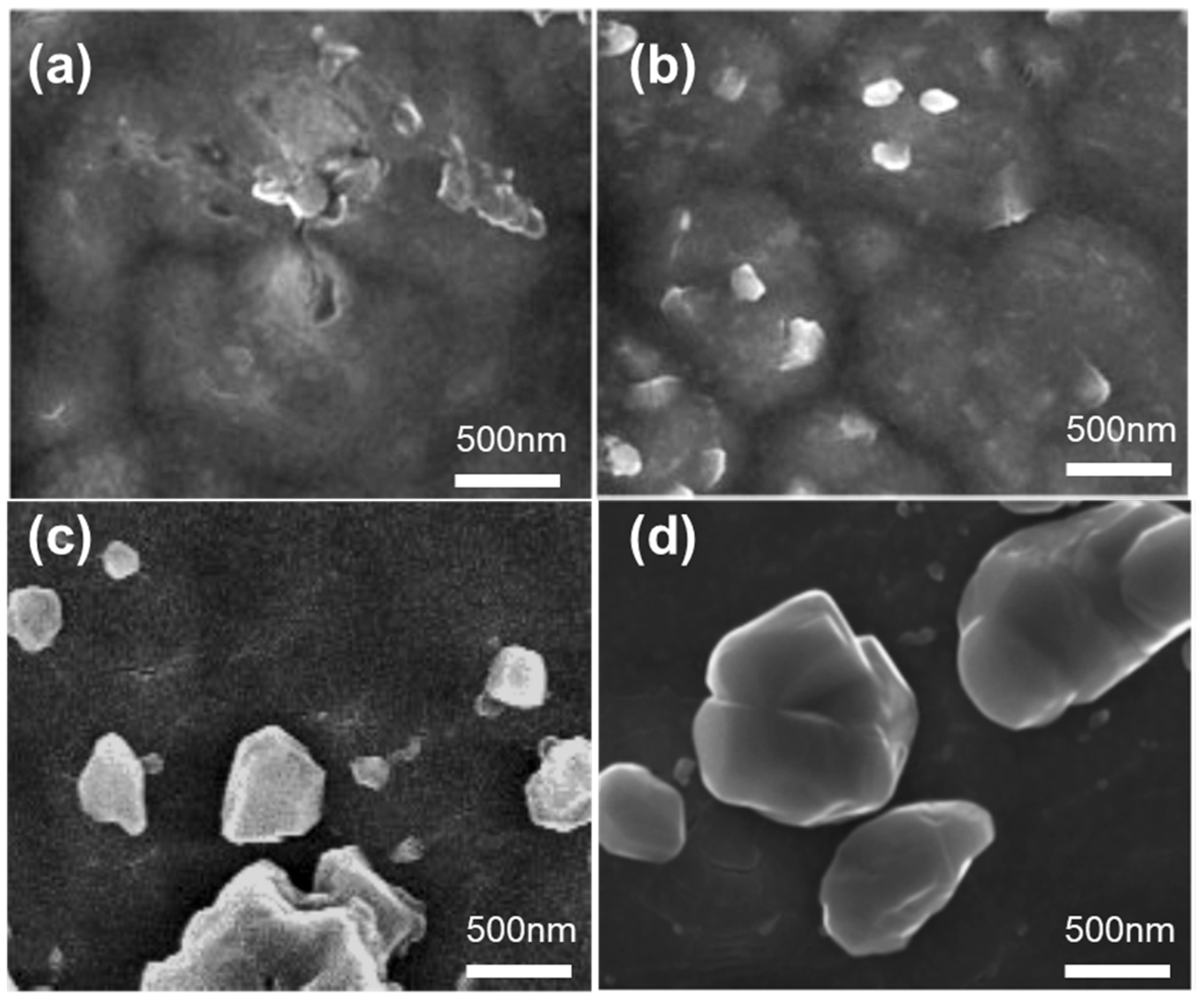 Jcs 09 00563 g002 Jcs 09 00563 g002