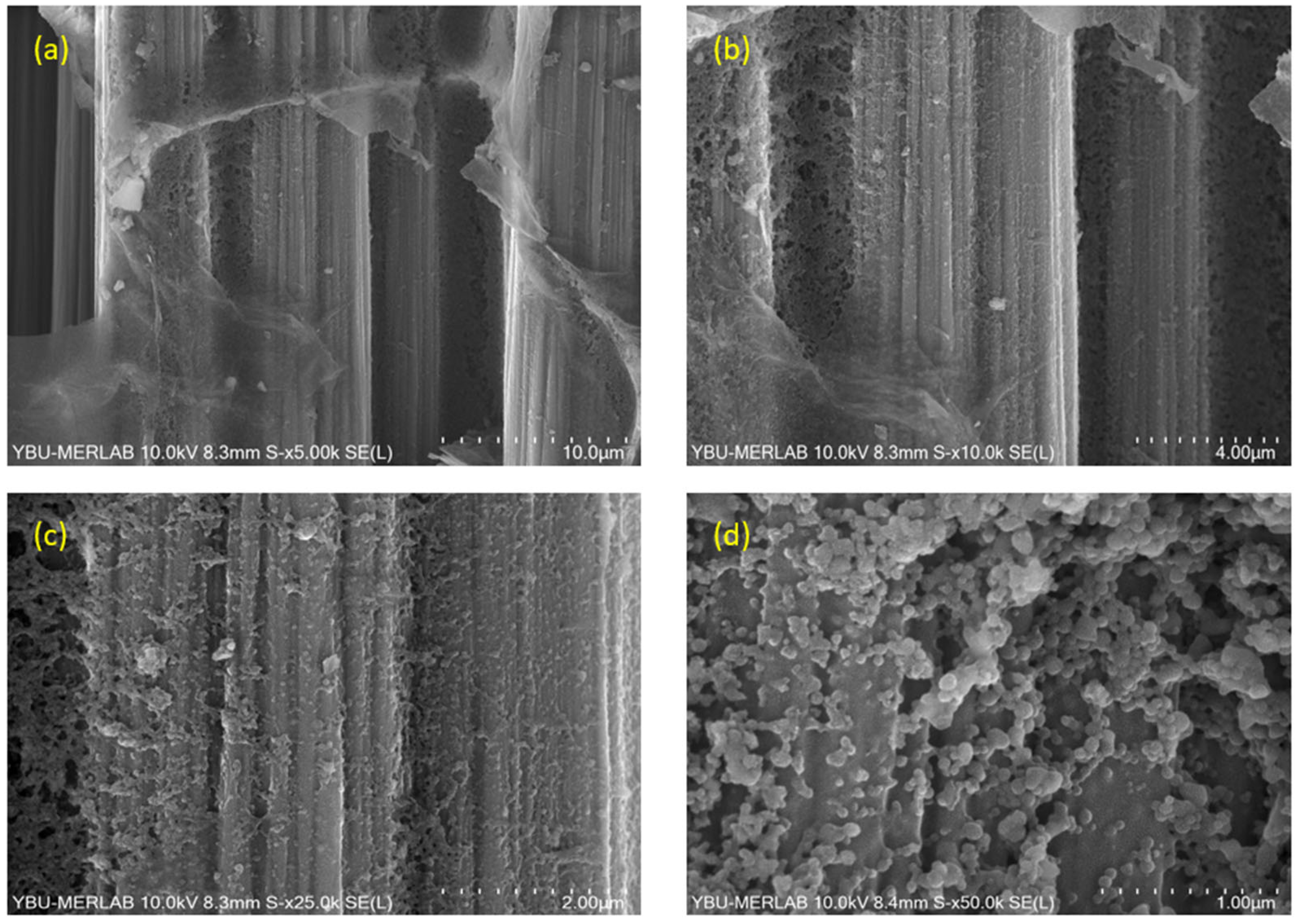 Jcs 09 00564 g011 Jcs 09 00564 g011