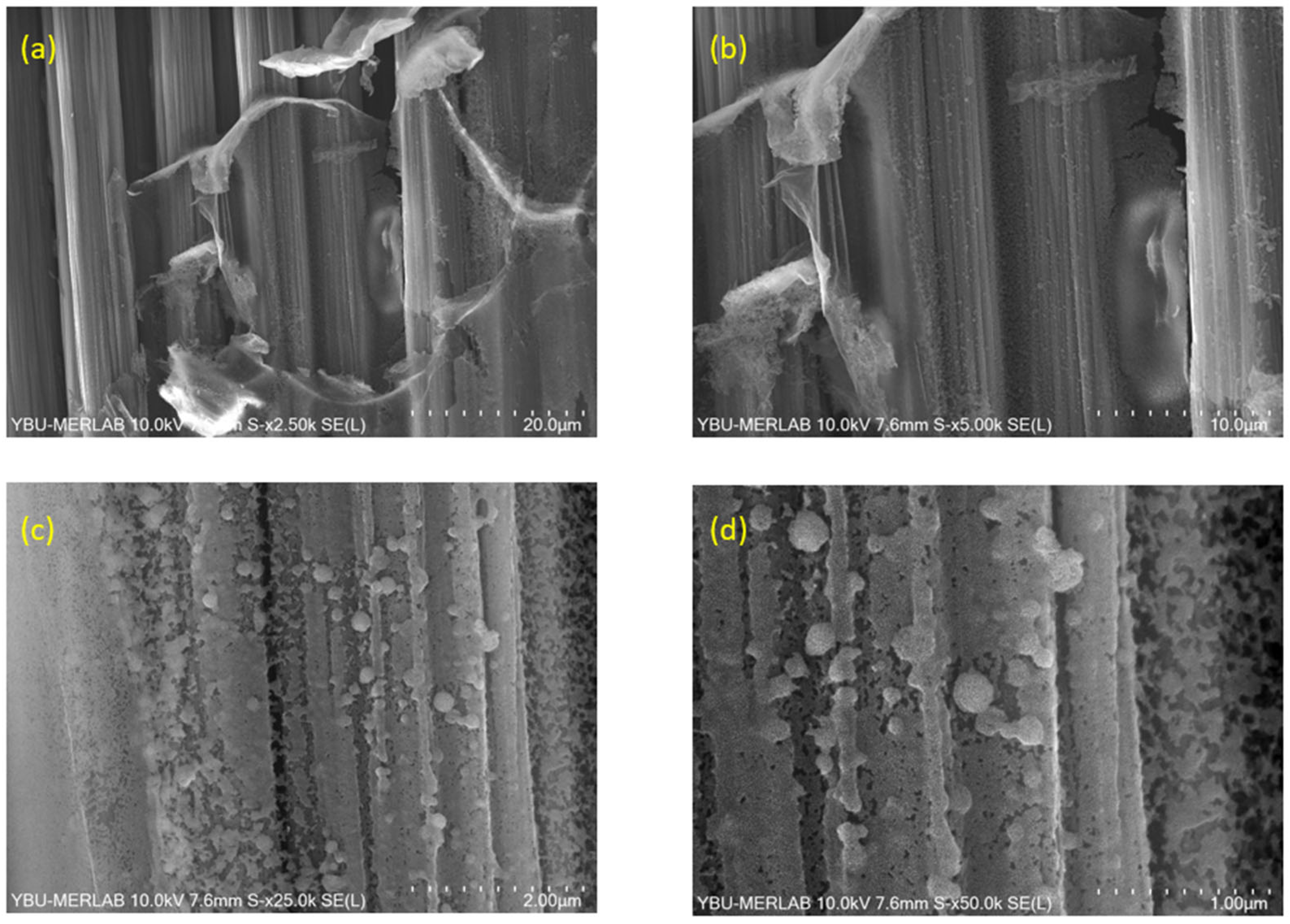 Jcs 09 00564 g012 Jcs 09 00564 g012