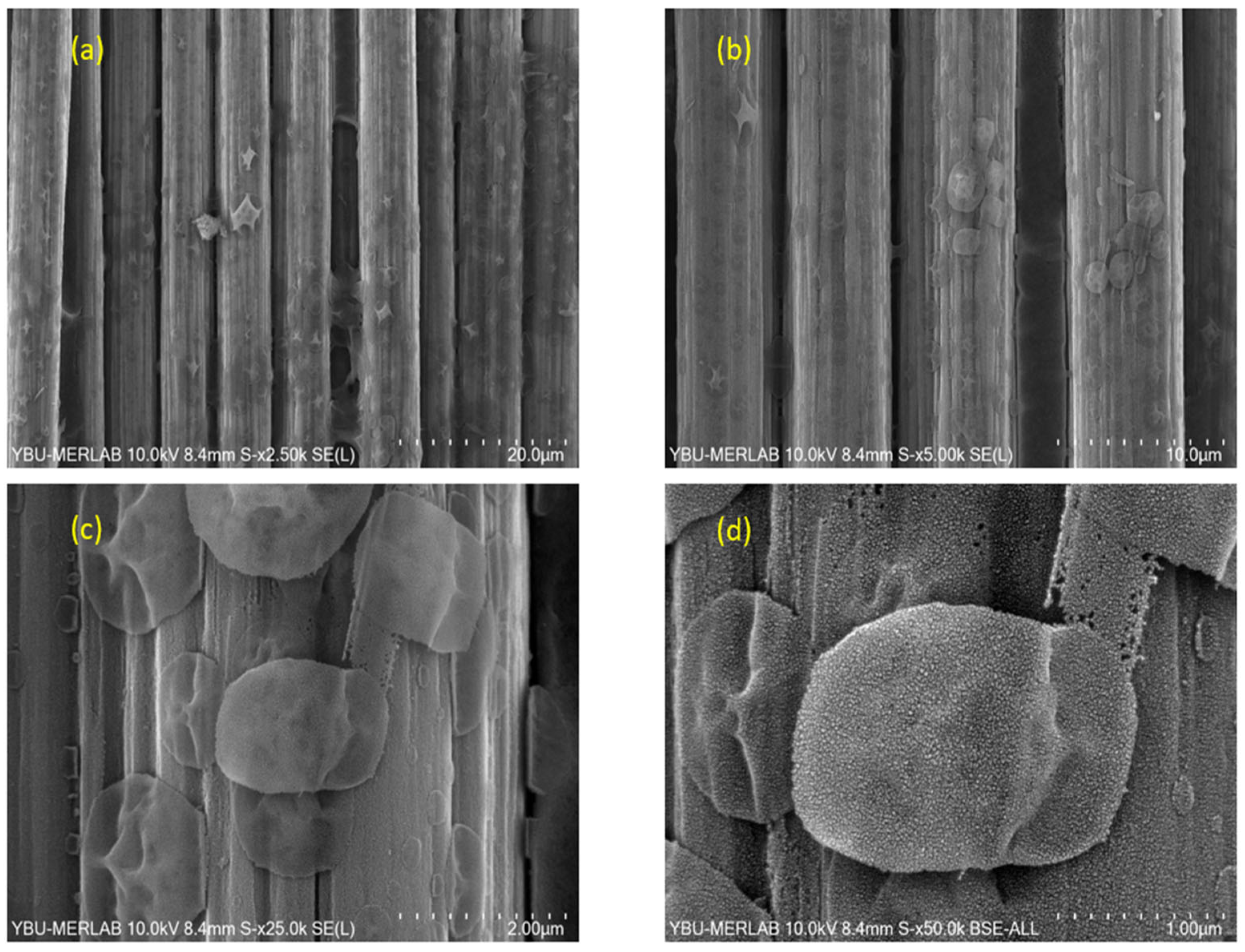 Jcs 09 00564 g013 Jcs 09 00564 g013