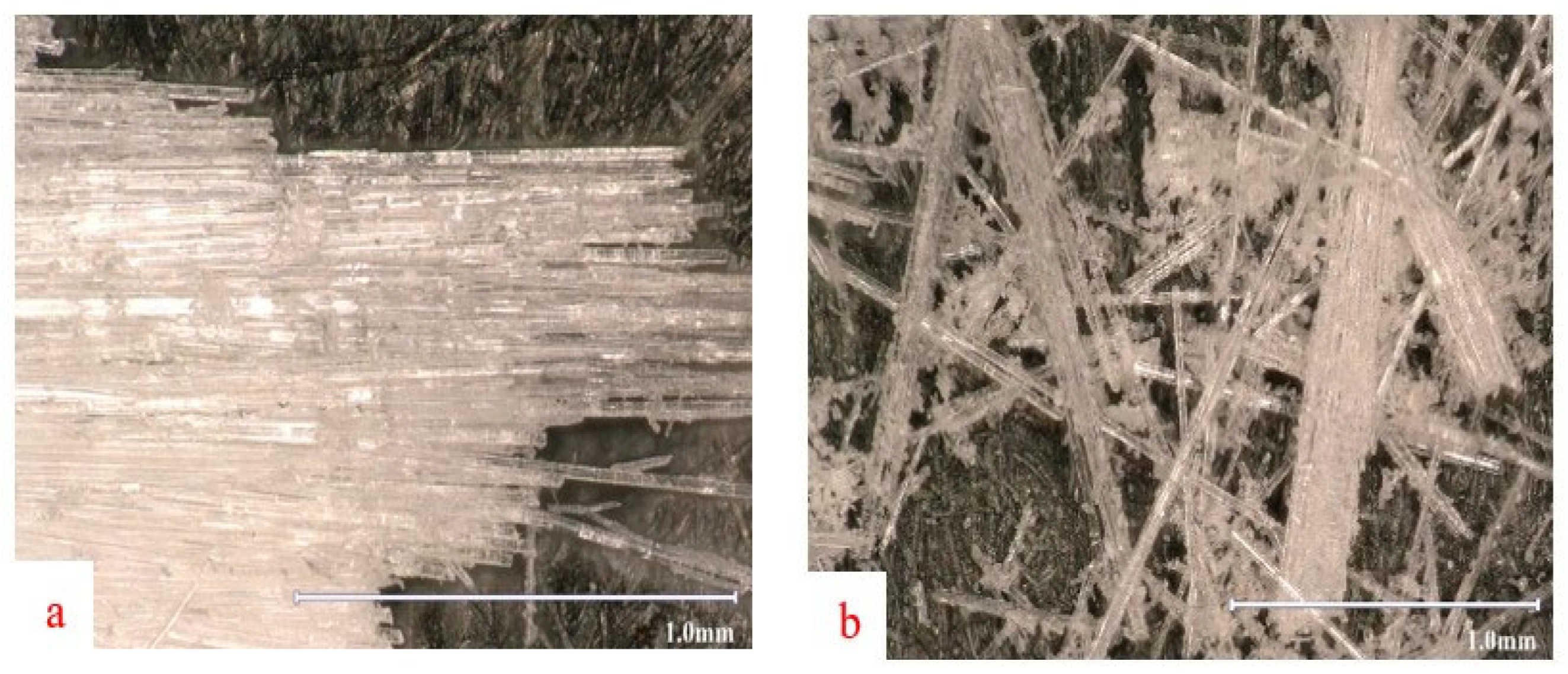 Jcs 09 00565 g005 Jcs 09 00565 g005