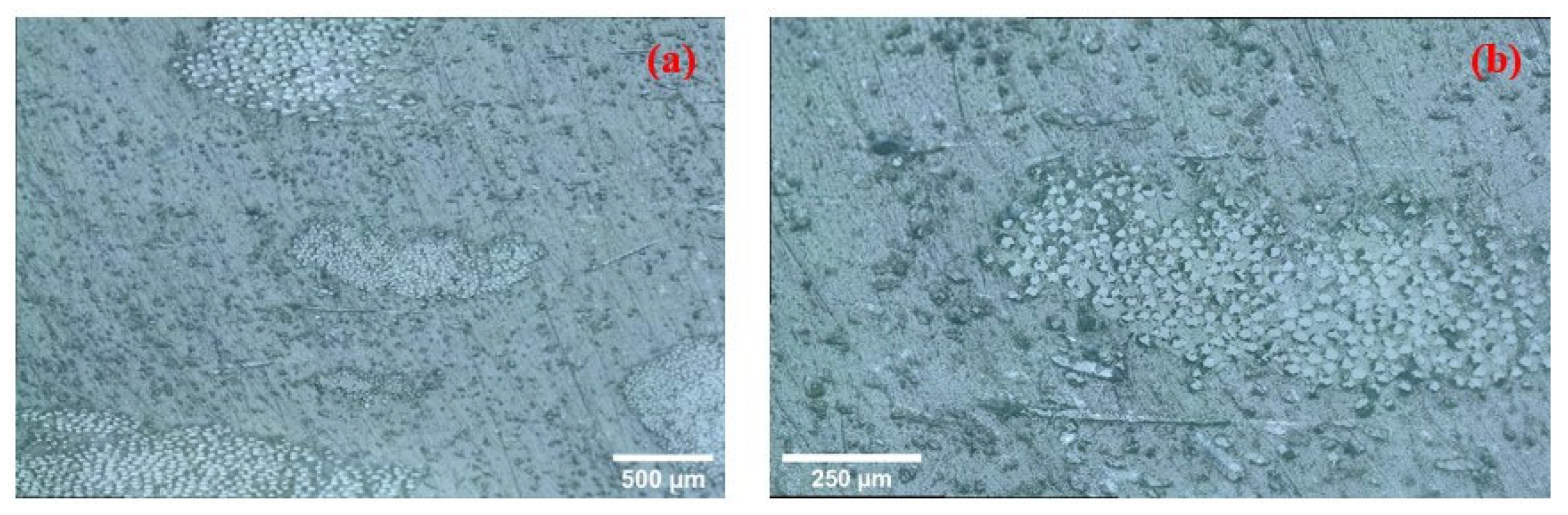 Jcs 09 00565 g013 Jcs 09 00565 g013