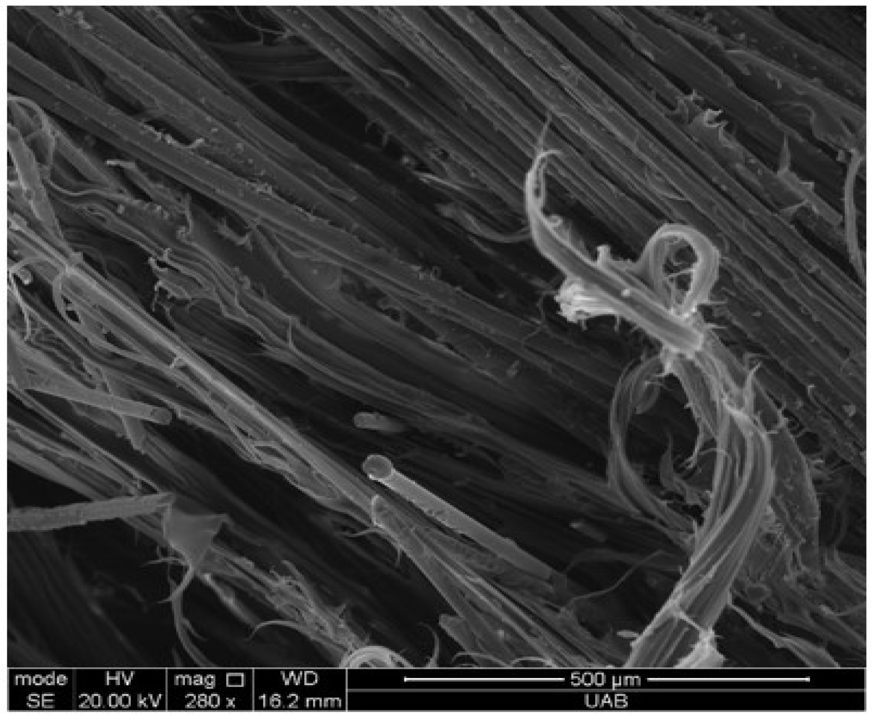 Jcs 09 00565 g021 Jcs 09 00565 g021