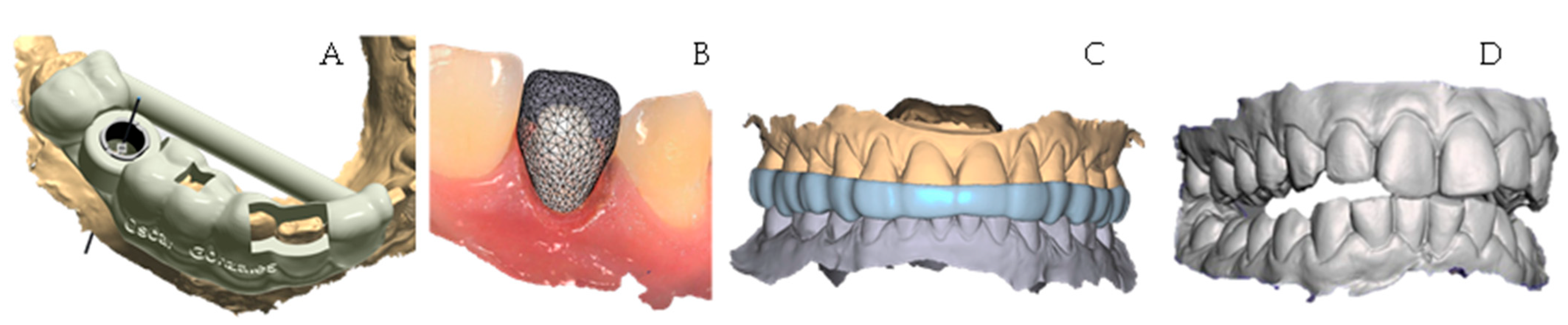 Jcs 09 00579 g004 Jcs 09 00579 g004