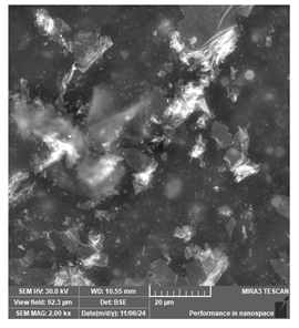 Jcs 09 00579 i003 Jcs 09 00579 i003