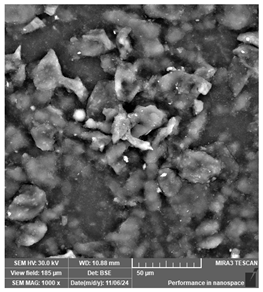 Jcs 09 00579 i005 Jcs 09 00579 i005