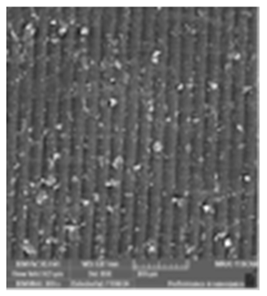 Jcs 09 00579 i007 Jcs 09 00579 i007