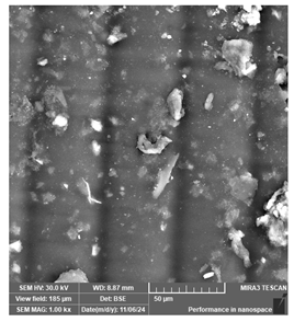 Jcs 09 00579 i008 Jcs 09 00579 i008