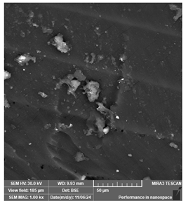 Jcs 09 00579 i011 Jcs 09 00579 i011