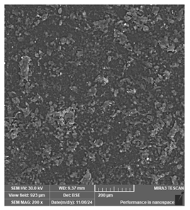 Jcs 09 00579 i013 Jcs 09 00579 i013