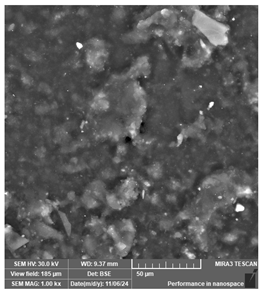 Jcs 09 00579 i014 Jcs 09 00579 i014