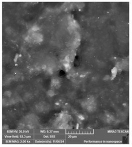 Jcs 09 00579 i015 Jcs 09 00579 i015