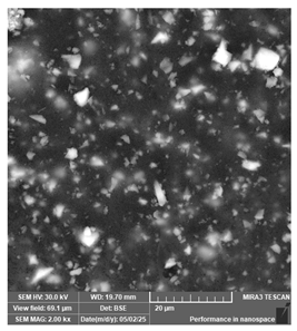 Jcs 09 00579 i018 Jcs 09 00579 i018