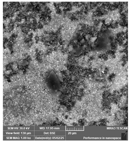 Jcs 09 00579 i020 Jcs 09 00579 i020