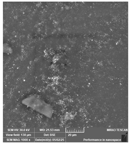 Jcs 09 00579 i023 Jcs 09 00579 i023