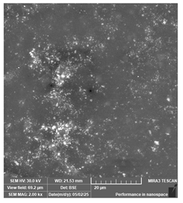 Jcs 09 00579 i024 Jcs 09 00579 i024