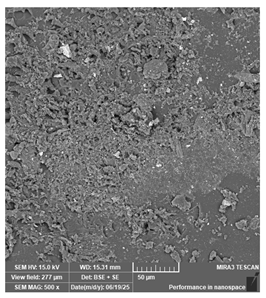 Jcs 09 00579 i028 Jcs 09 00579 i028