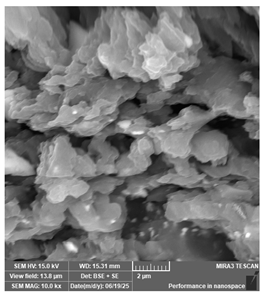 Jcs 09 00579 i031 Jcs 09 00579 i031