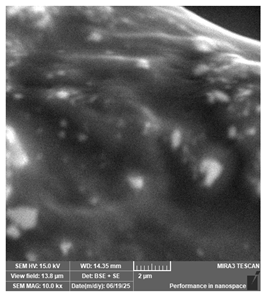 Jcs 09 00579 i035 Jcs 09 00579 i035