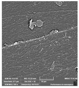 Jcs 09 00579 i036 Jcs 09 00579 i036