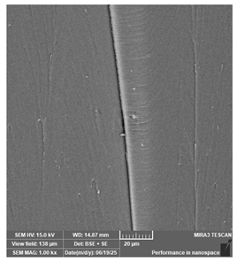 Jcs 09 00579 i041 Jcs 09 00579 i041