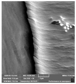 Jcs 09 00579 i043 Jcs 09 00579 i043