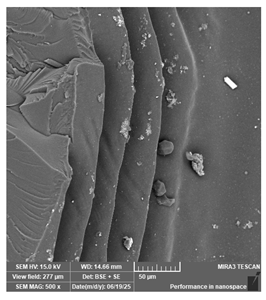 Jcs 09 00579 i044 Jcs 09 00579 i044