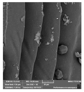 Jcs 09 00579 i045 Jcs 09 00579 i045