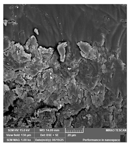 Jcs 09 00579 i049 Jcs 09 00579 i049