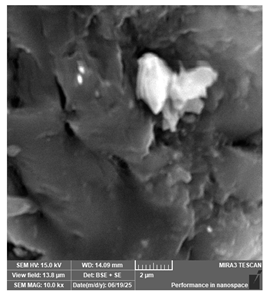 Jcs 09 00579 i051 Jcs 09 00579 i051