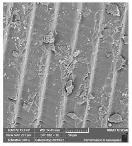 Jcs 09 00579 i056 Jcs 09 00579 i056