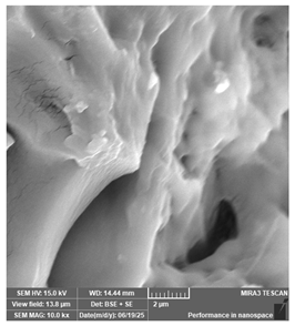 Jcs 09 00579 i059 Jcs 09 00579 i059