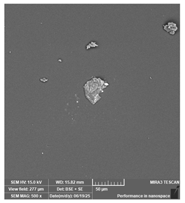 Jcs 09 00579 i060 Jcs 09 00579 i060