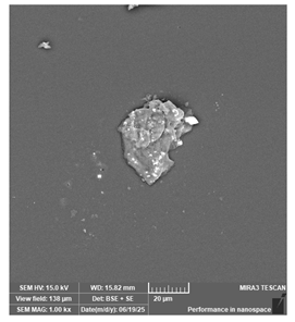 Jcs 09 00579 i061 Jcs 09 00579 i061