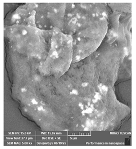 Jcs 09 00579 i062 Jcs 09 00579 i062