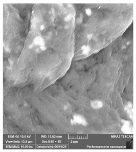 Jcs 09 00579 i063 Jcs 09 00579 i063