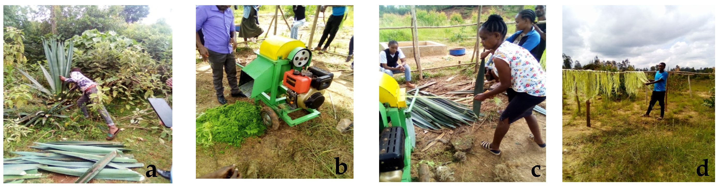 Jcs 09 00613 g003 Jcs 09 00613 g003