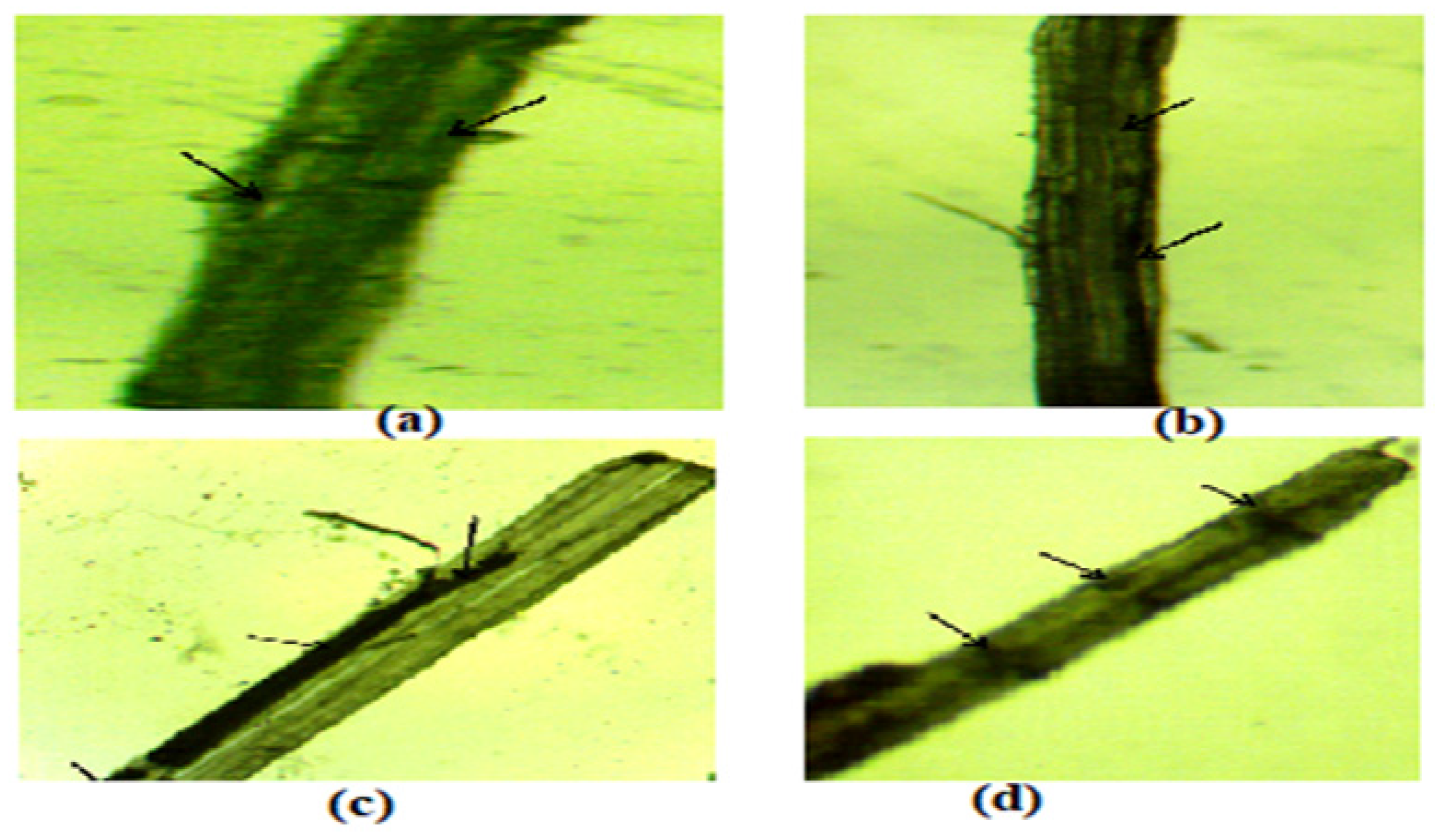 Jcs 09 00613 g006 Jcs 09 00613 g006