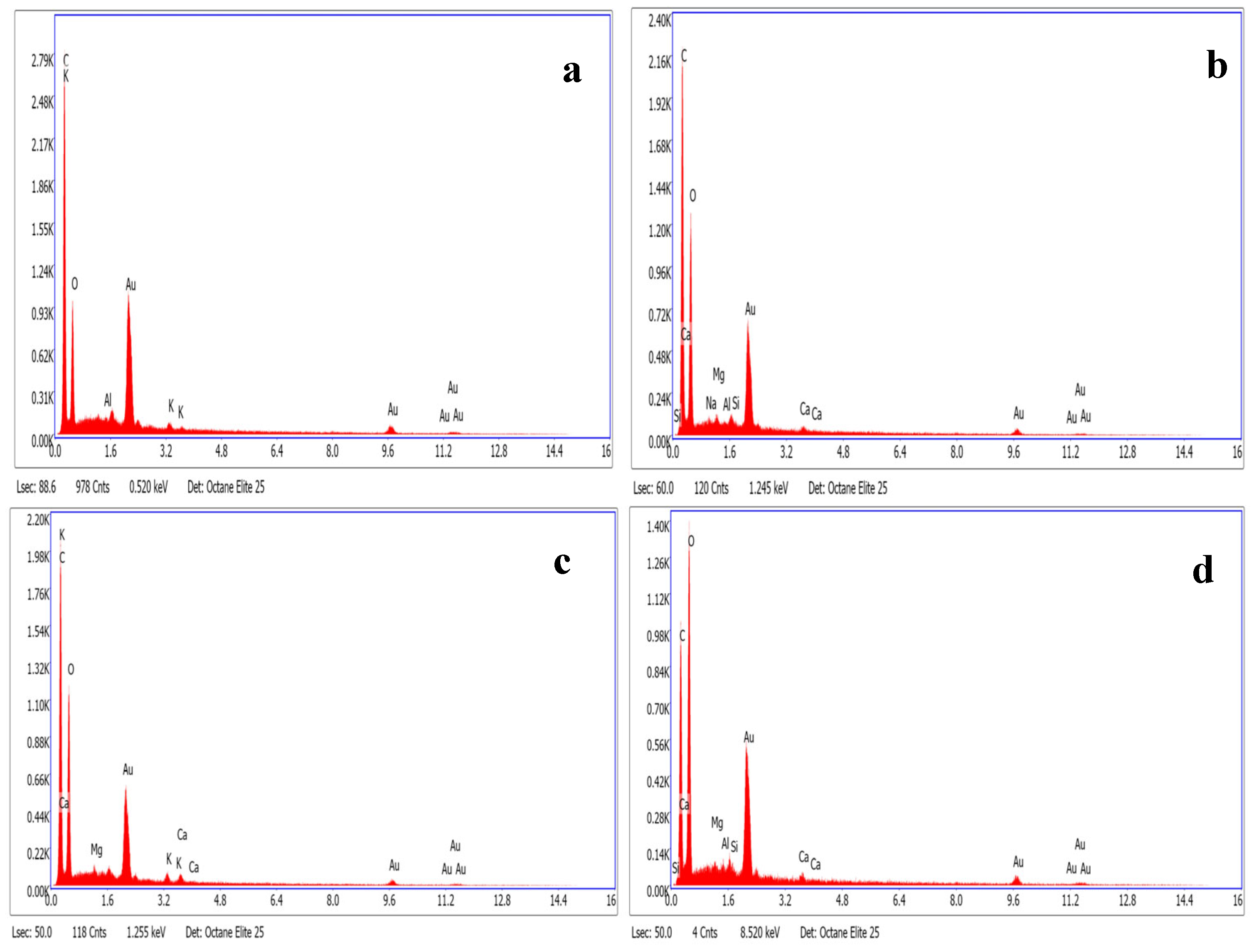 Jcs 09 00613 g010 Jcs 09 00613 g010