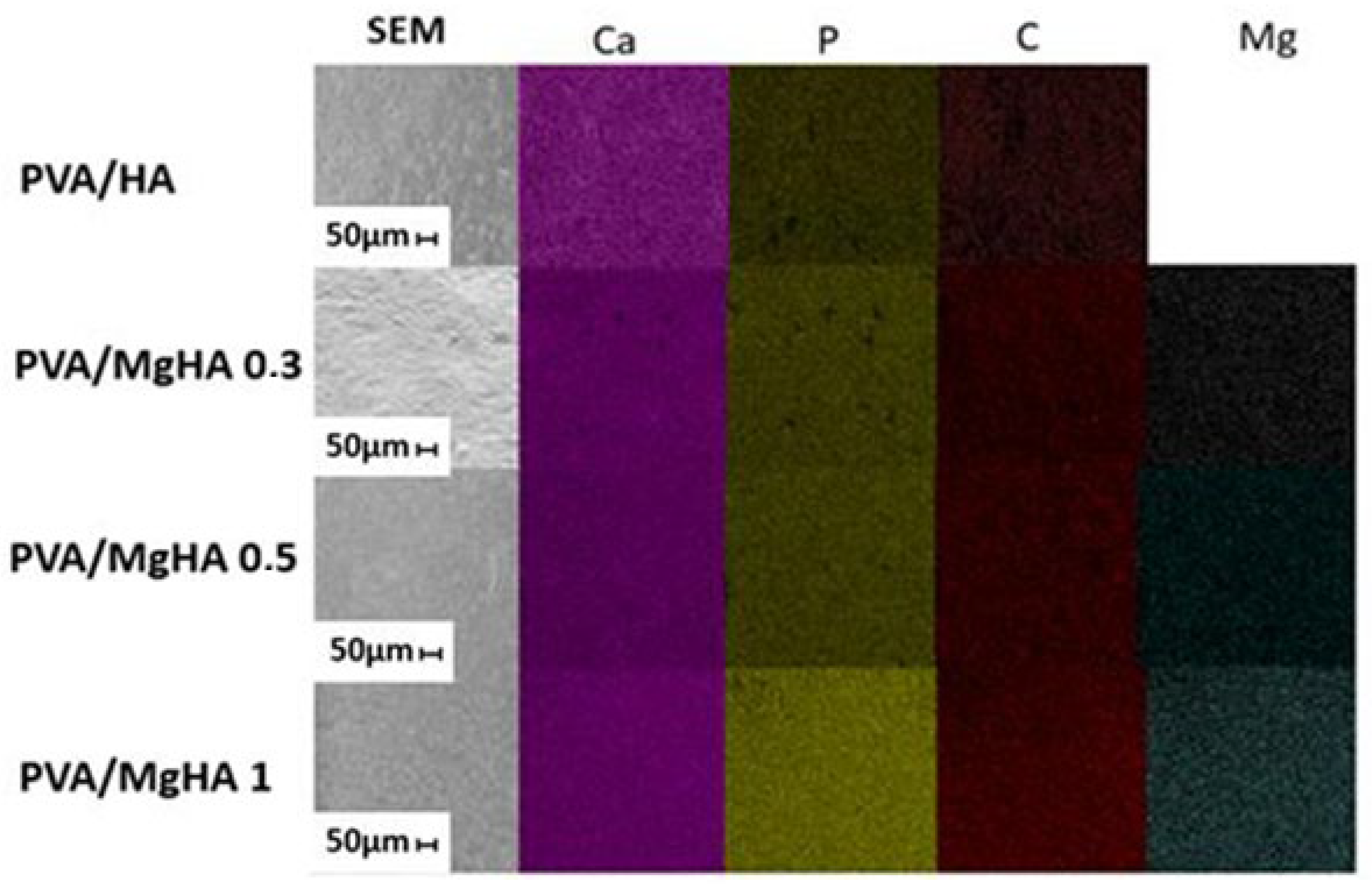 Jcs 09 00614 g003 Jcs 09 00614 g003